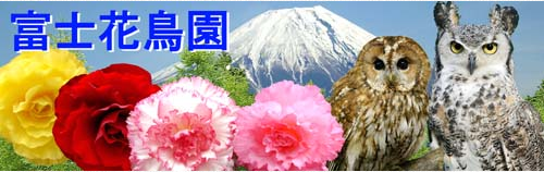 富士花鳥園